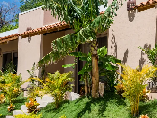 Jardines tropicales de Casa Nära