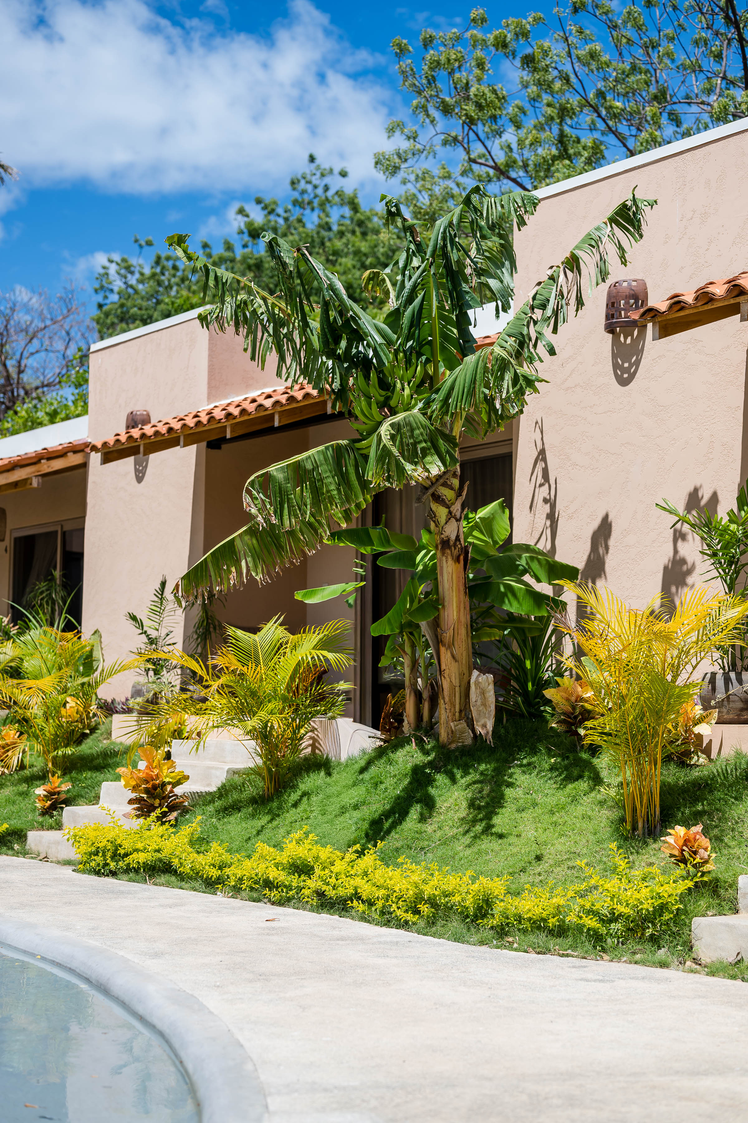 Jardines tropicales de Casa Nära